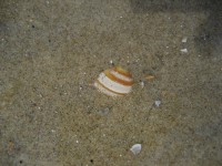 /album/fotogallerij/a2012-08-16-12-07-42-0142-jpg/